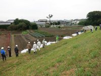 IMG (62)
